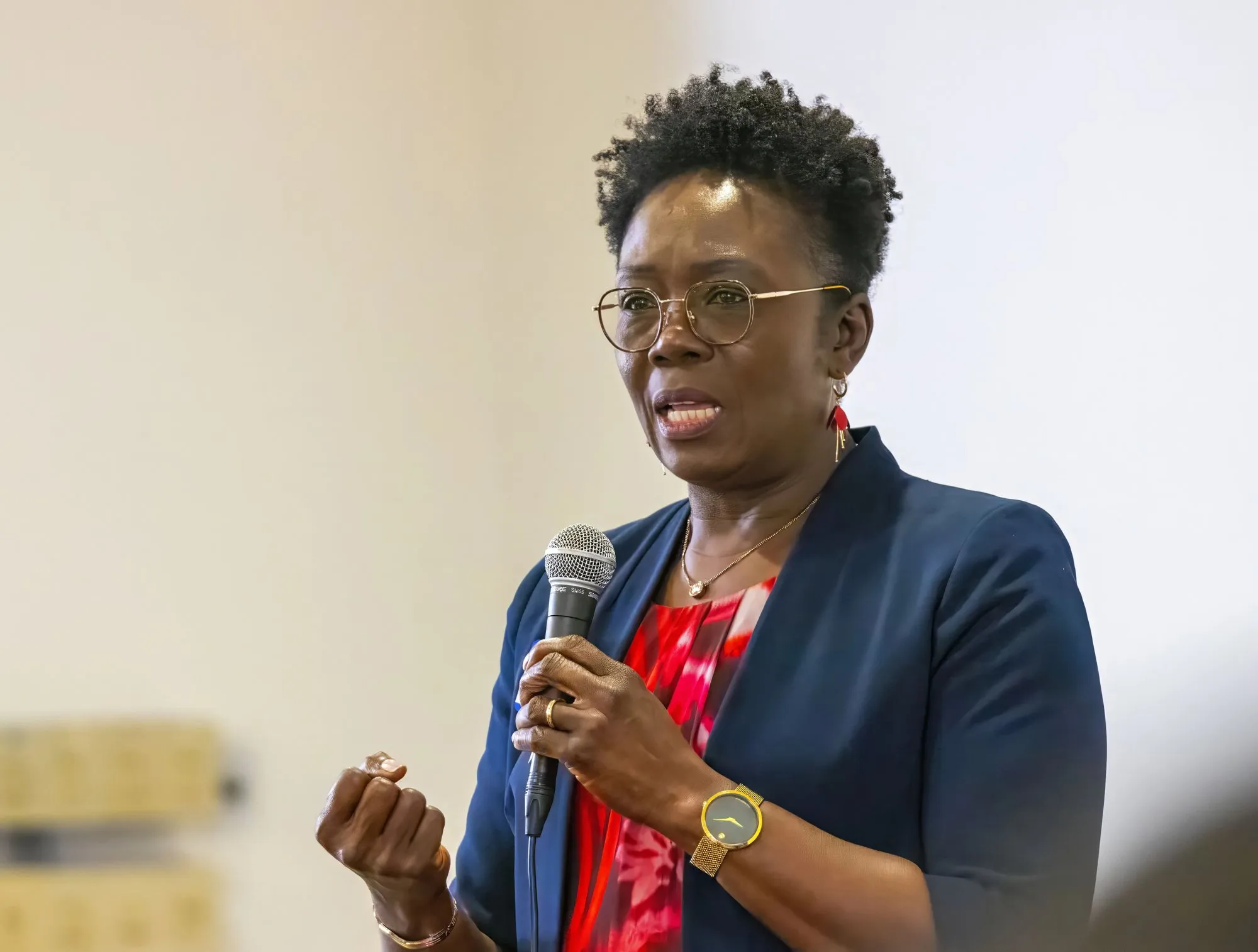 A speaker sharing with the room